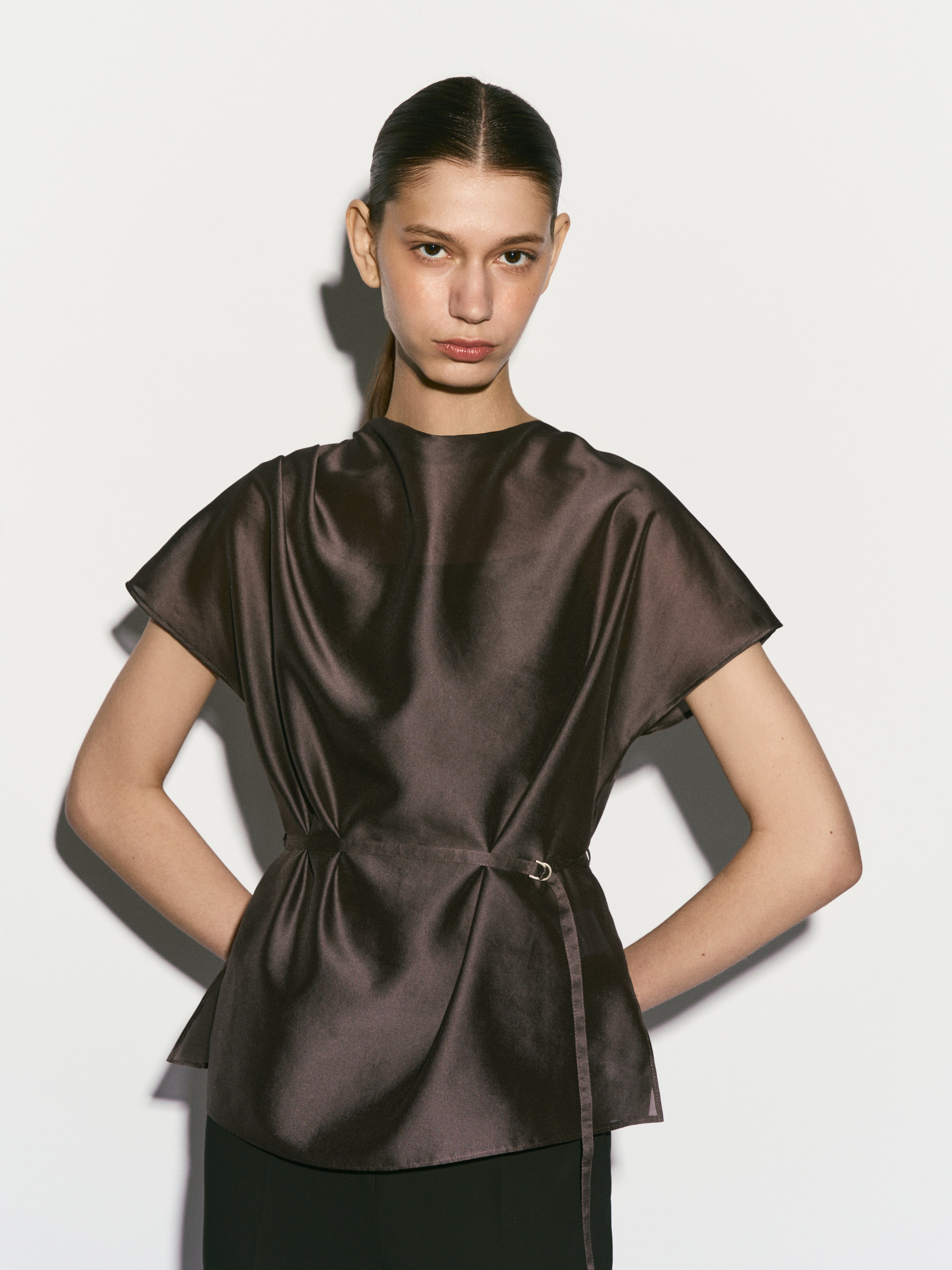 Sheer Belted Blouse