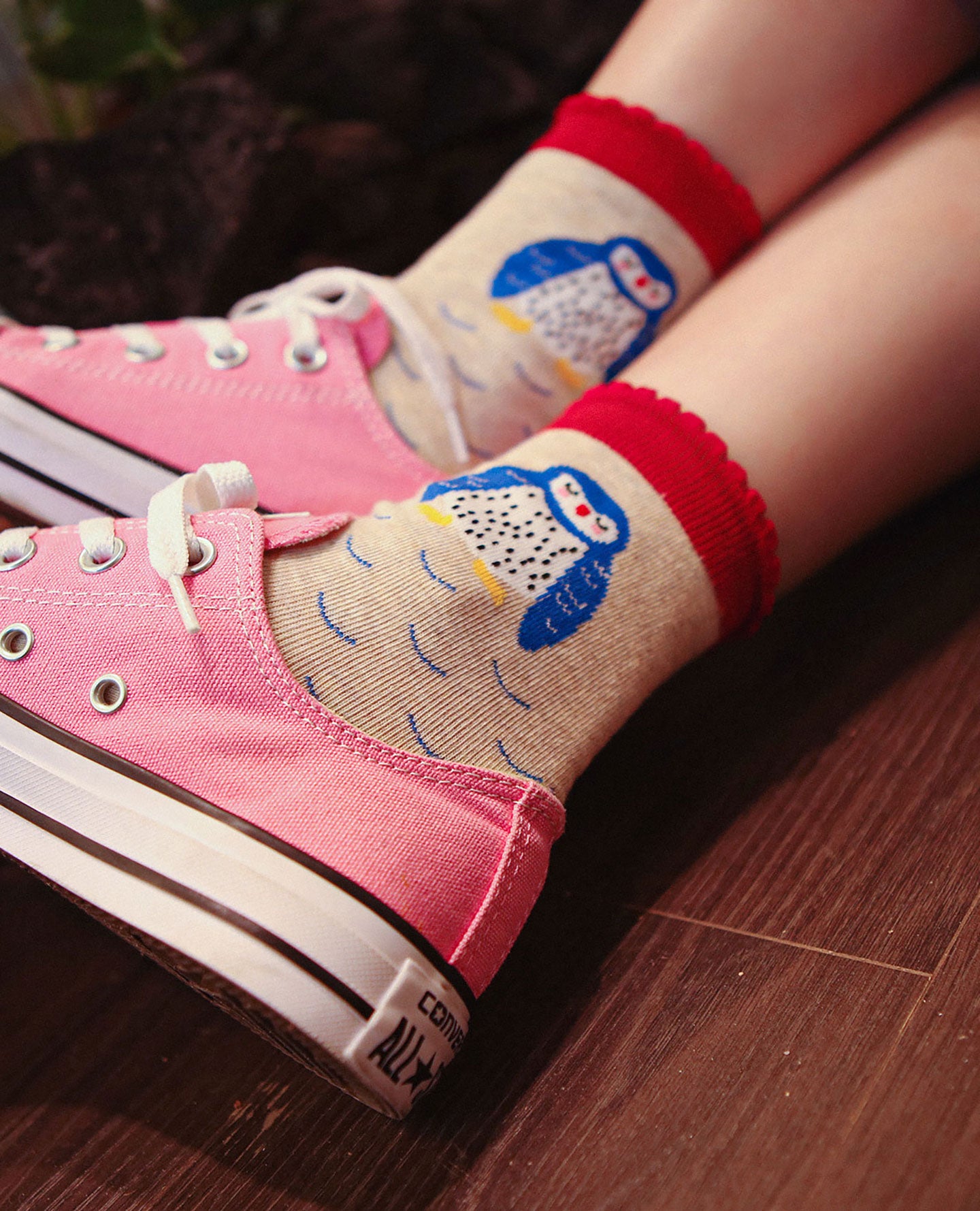 Owl Illust Women's Socks