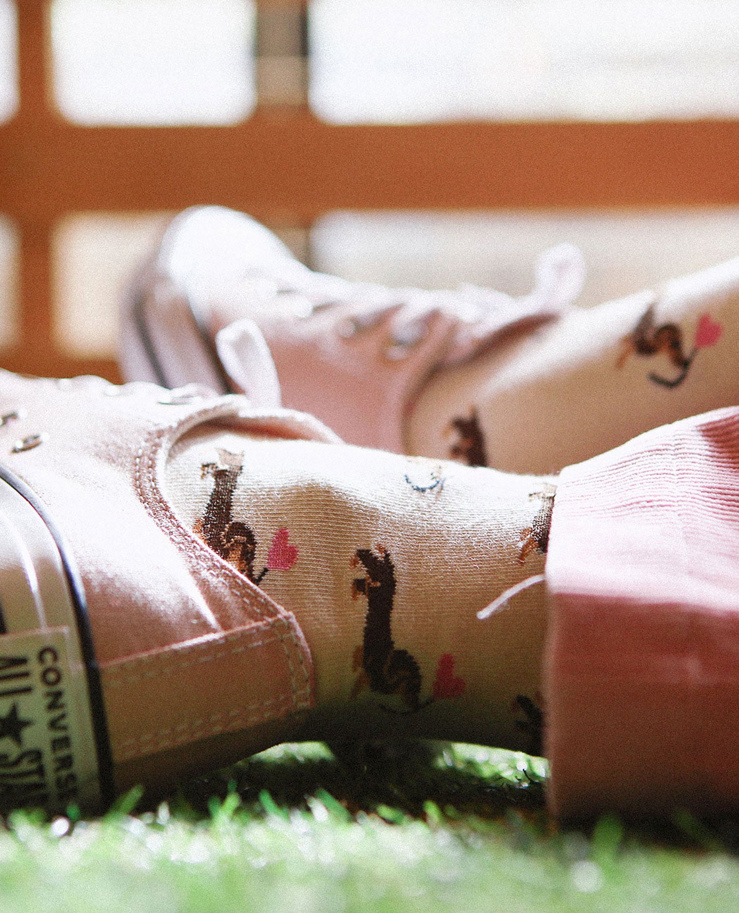Love & Dog Pattern Women's Socks